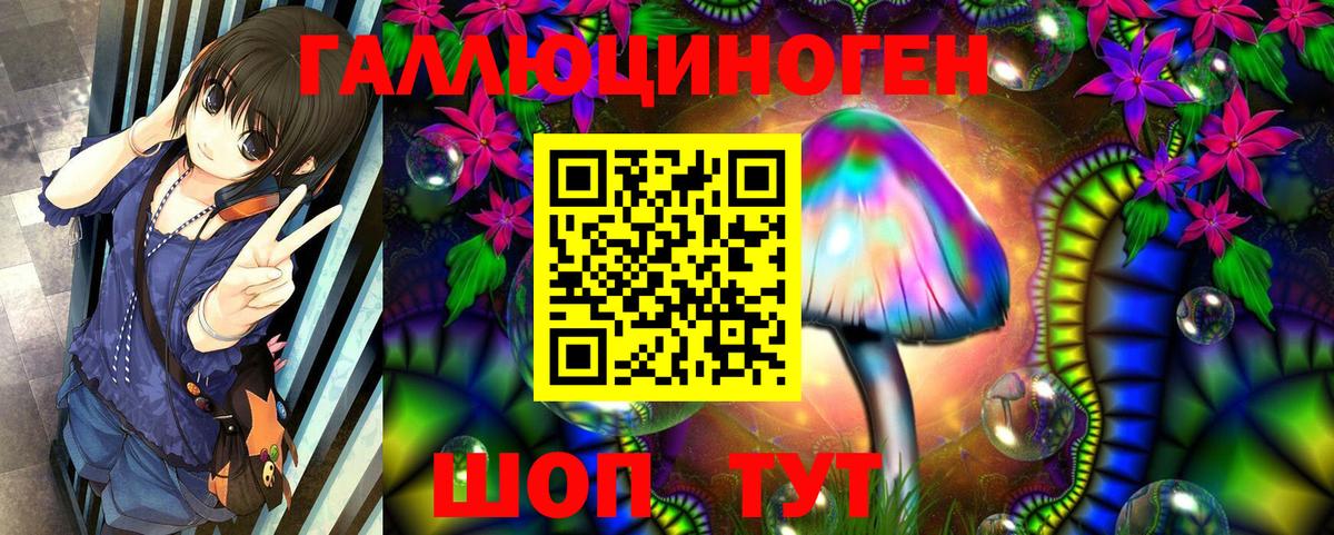 Псилоцибиновые грибы GOLDEN TEACHER  Вход с VPN  Лесосибирск 