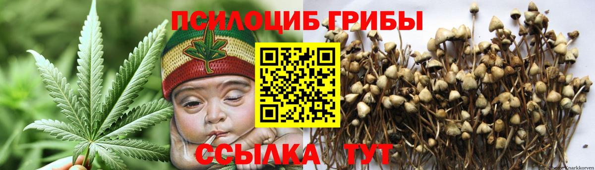 Галлюциногенные грибы Magic Shrooms Лесосибирск